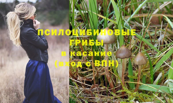бошки Алексин