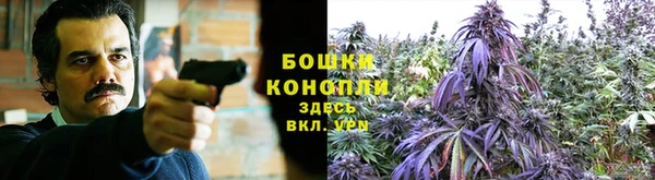 бошки Алексин