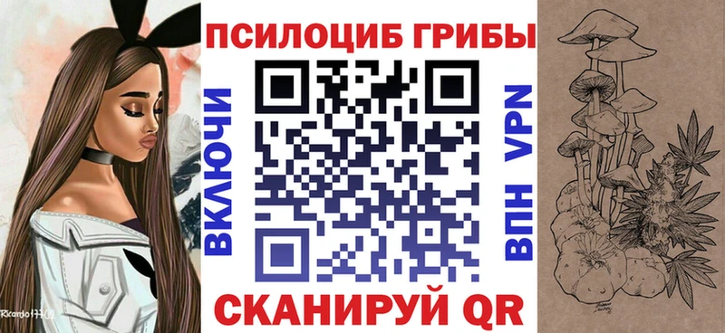 купить сайты Кола сайты даркнета Telegram Галлюциногенные грибы Magic Shrooms